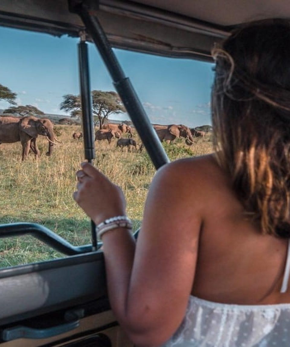 Safari in Tanzania