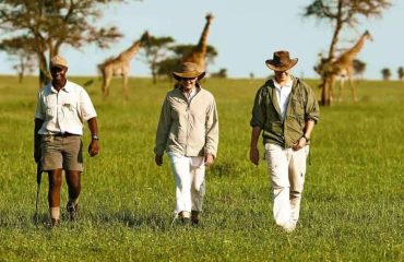 Walking Safari