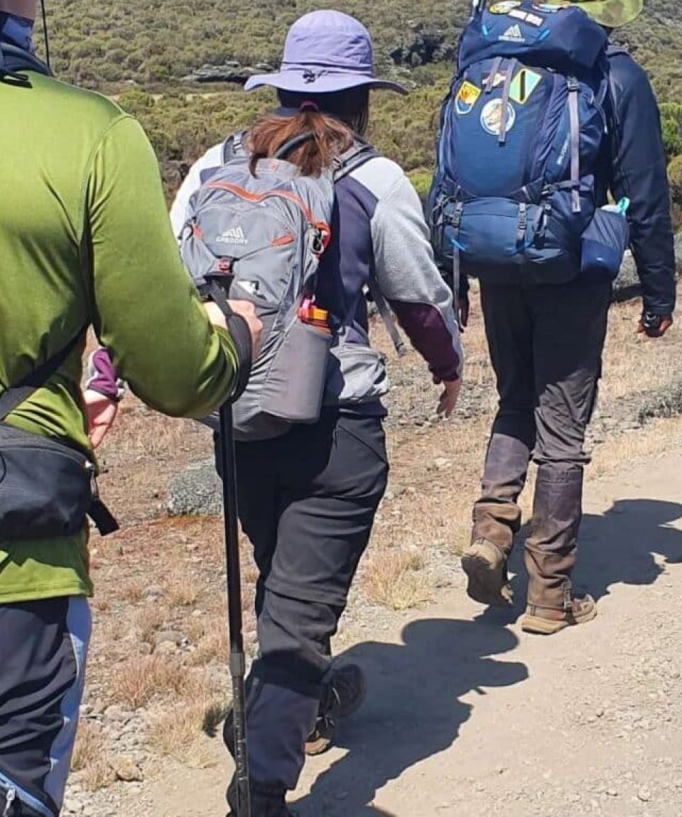 Hiking in Kilimanjaro