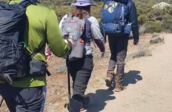 Mt Kilimanjaro Tour