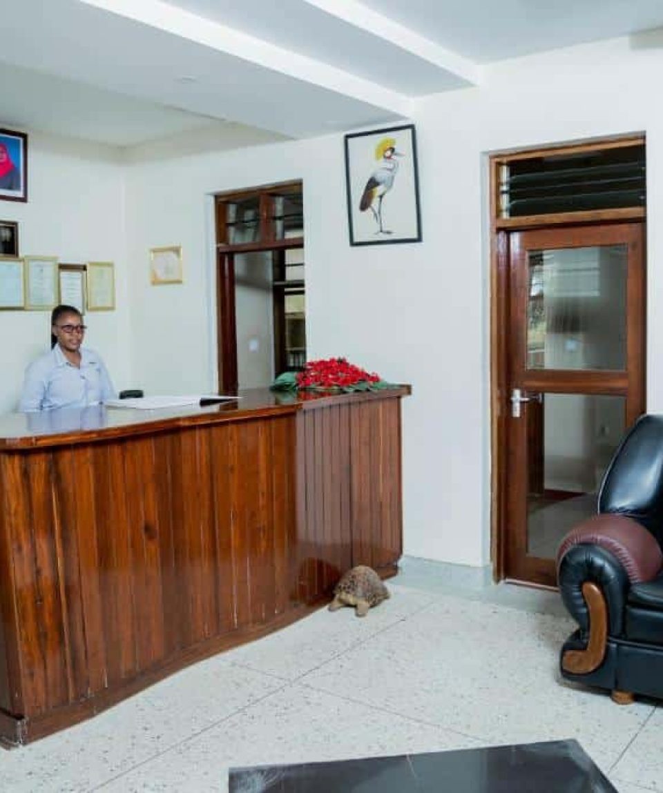 Kilimanjaro Crane Hotel: Top Comfort at 25% Off! - EAST
