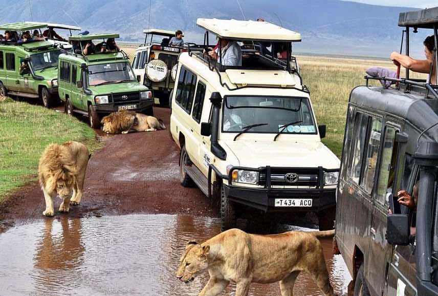 Opportunity: 5 Thrilling East Africa Adventures - EAST