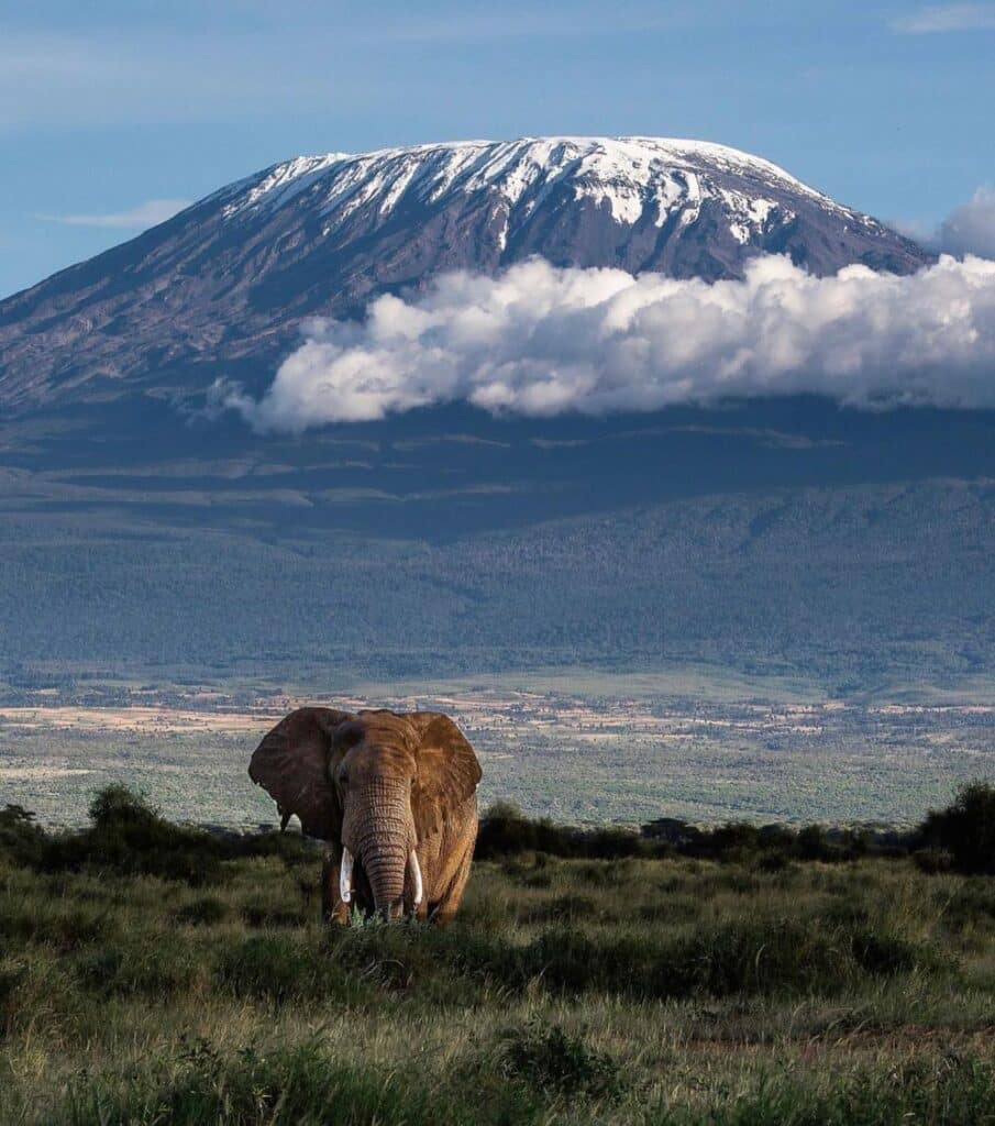 Kilimanjaro Climb
