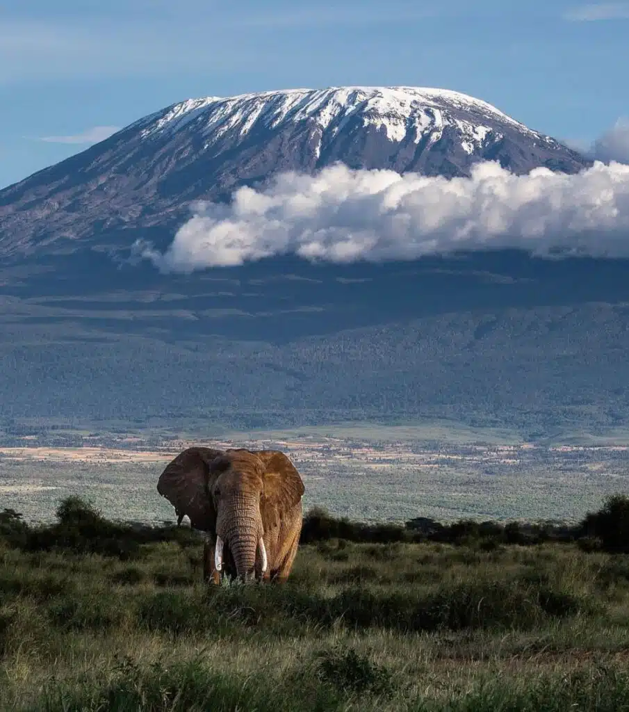 Height of Kilimanjaro