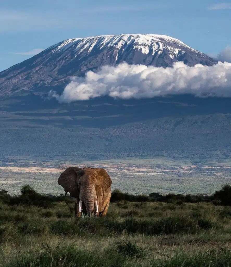 How Tall is Mount Kilimanjaro
