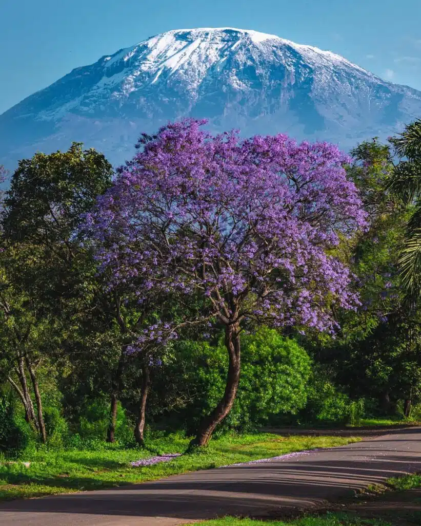 Mount Kilimanjaro Height