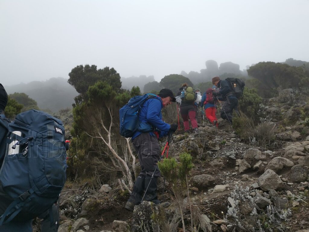 Mount Kilimanjaro Peak