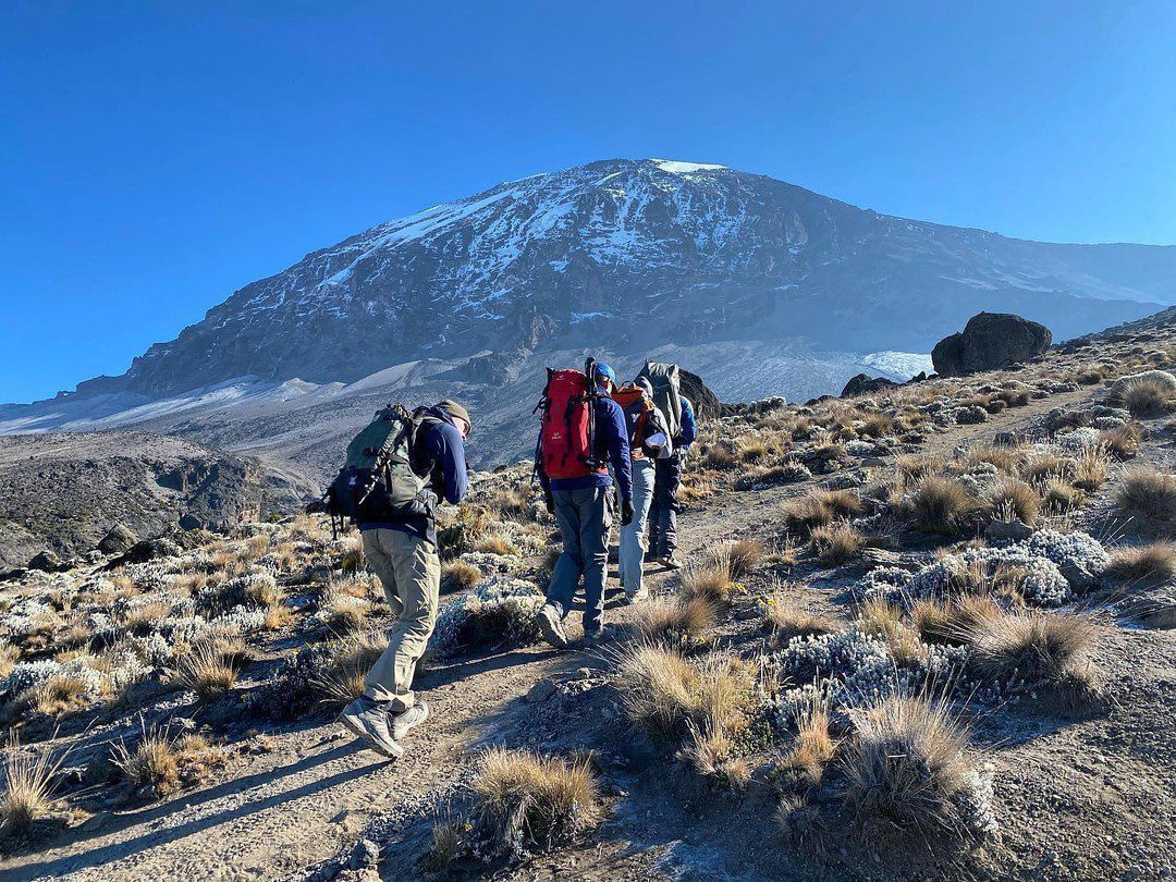 Mt Kilimanjaro