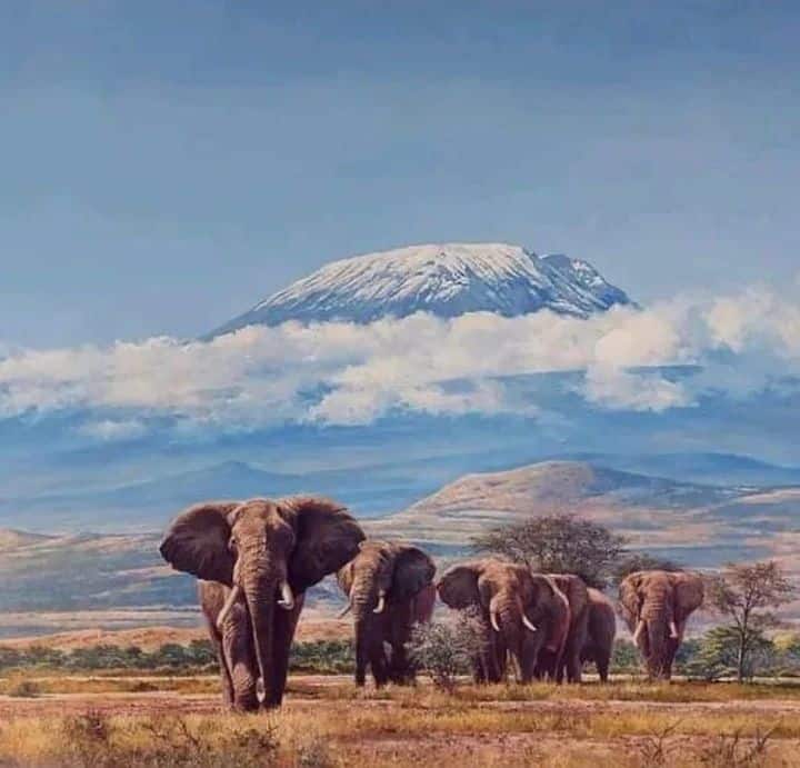 Kilimanjaro Mountain Africa