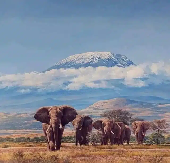 Kilimanjaro Mountain Africa