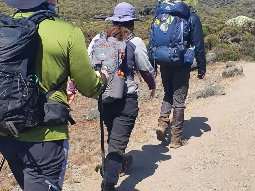 Kilimanjaro Climbing
