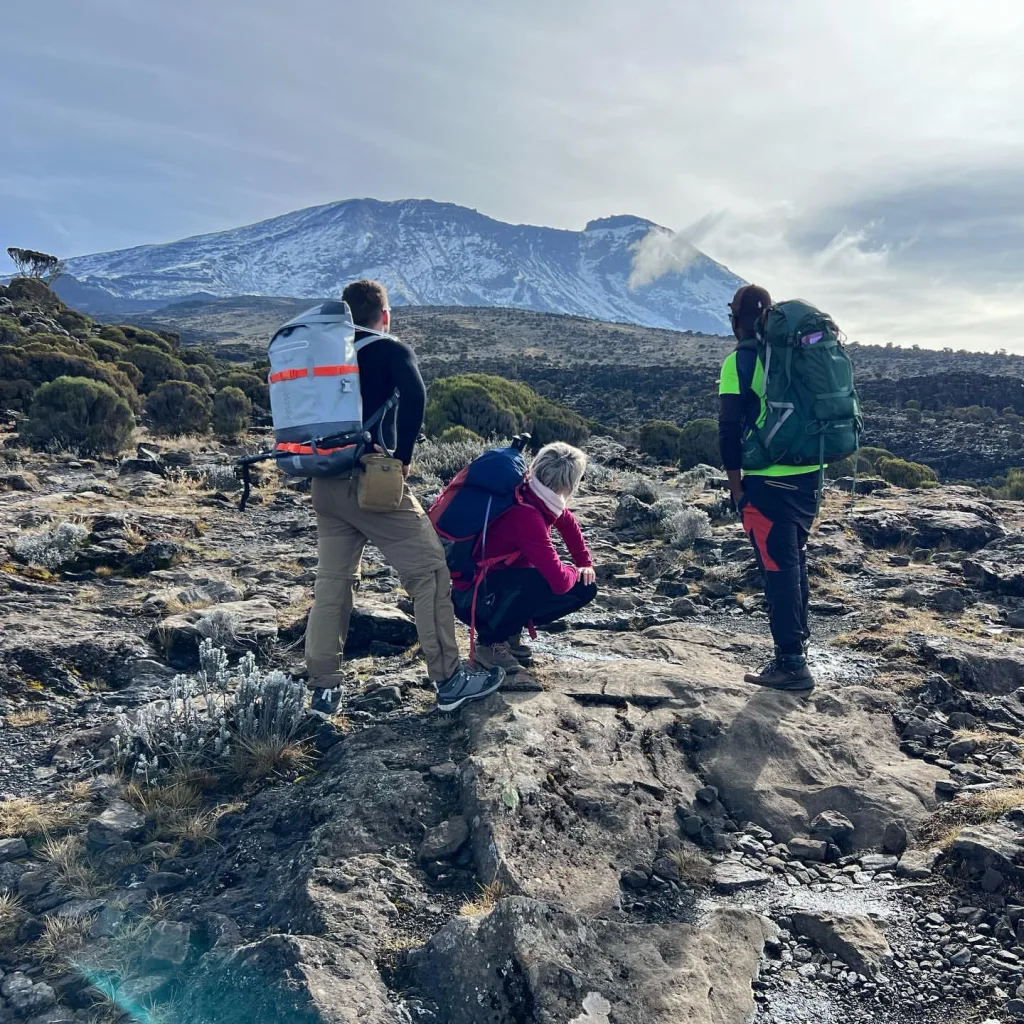 Climb Mt Kilimanjaro