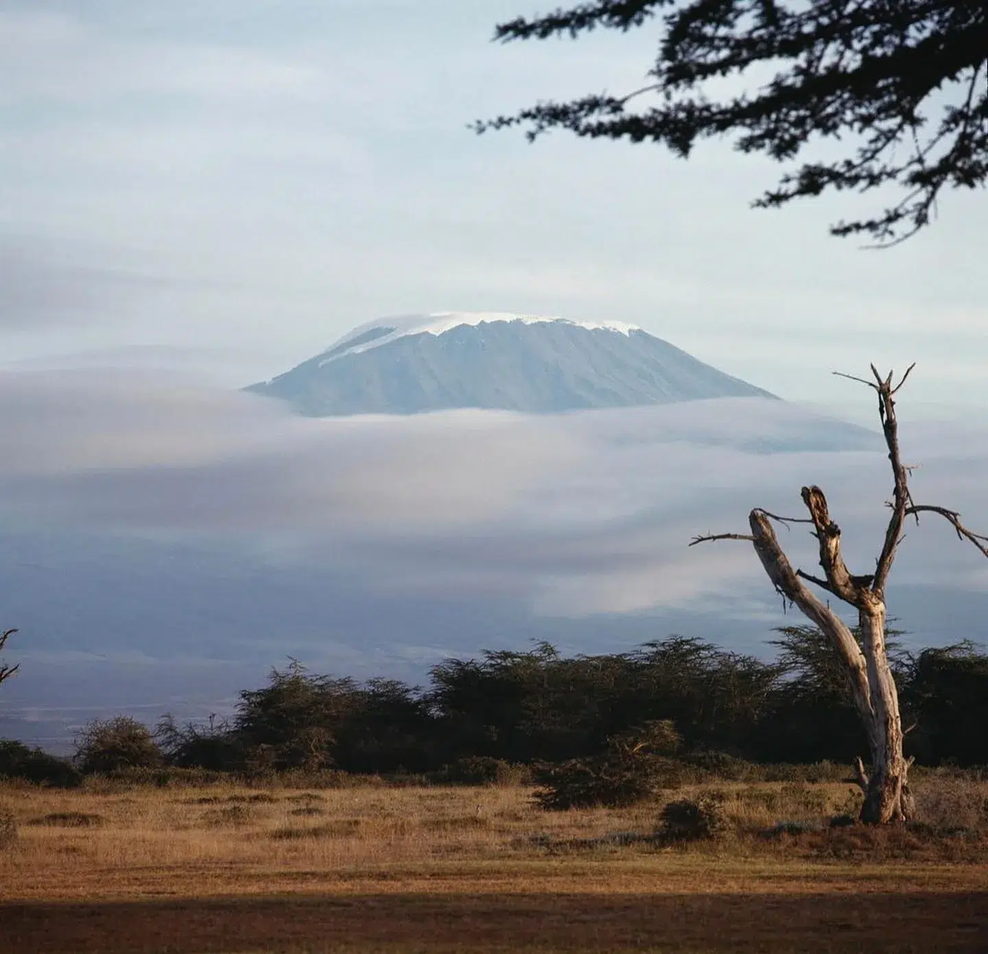 Peak of Kilimanjaro