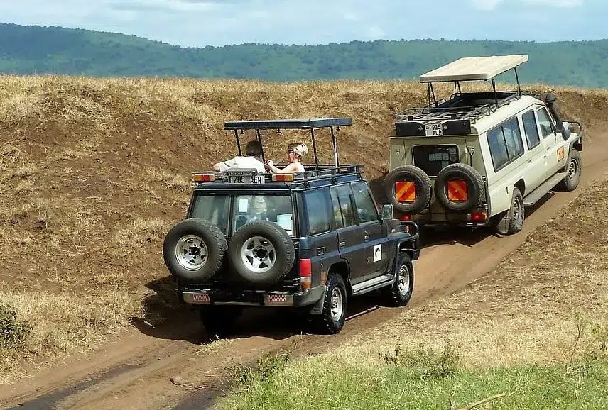East Africa Safaris
